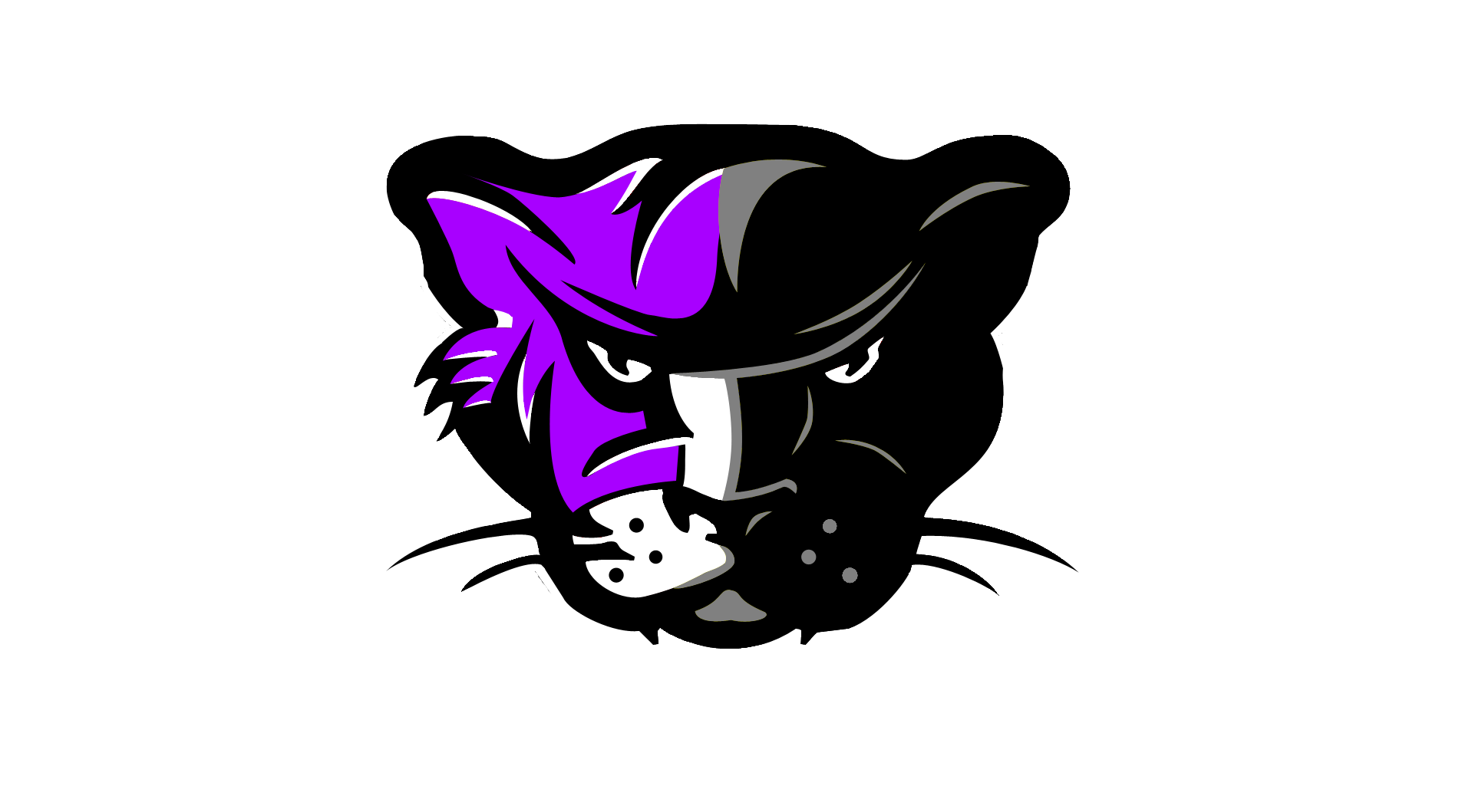 laxcats with space logo