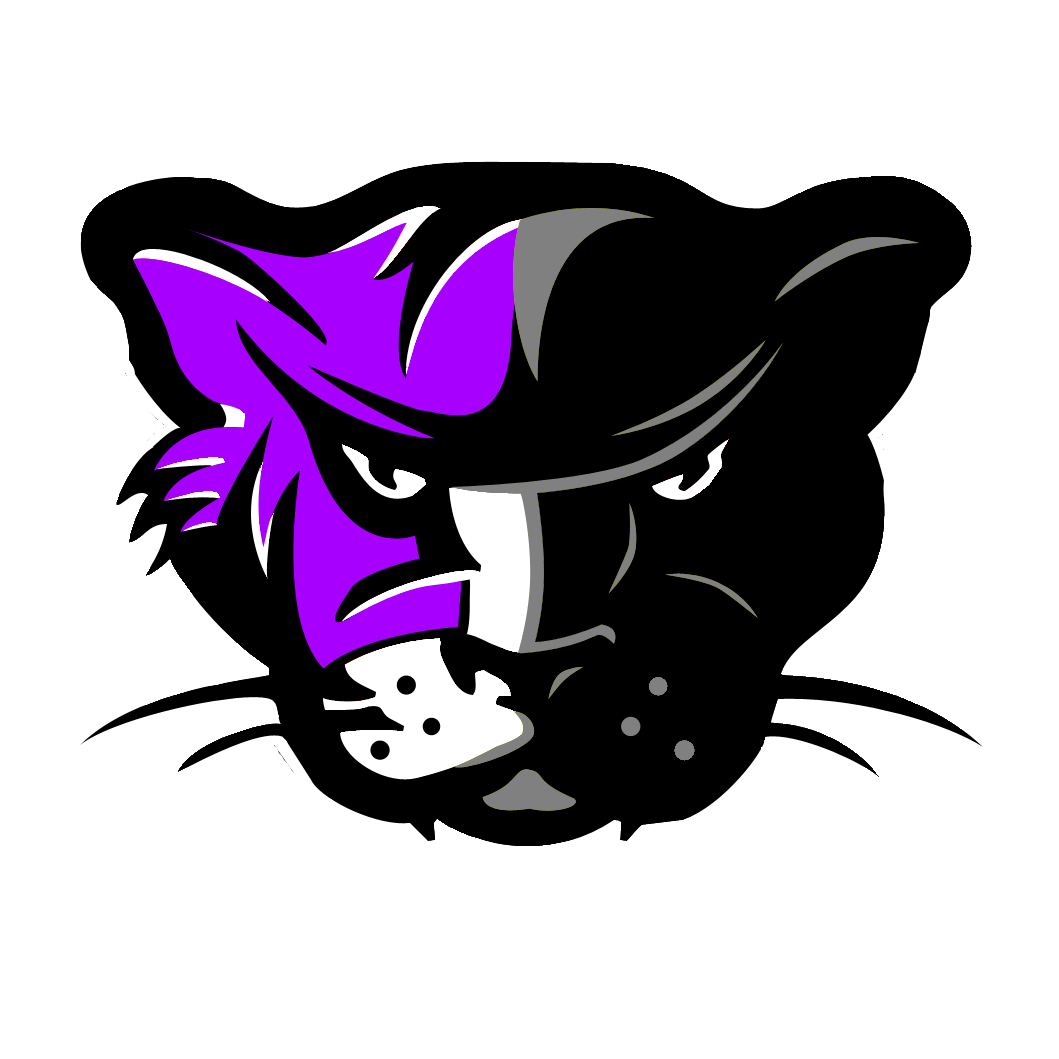 laxcats with space logo